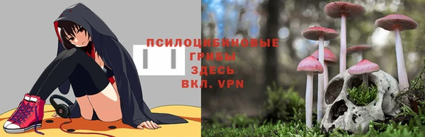 герыч Аркадак