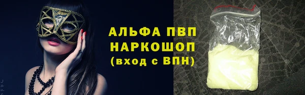ECSTASY Тайга