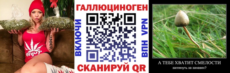 Псилоцибиновые грибы Magic Shrooms  Можга 